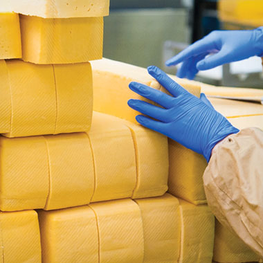 Un lavoratore impila forme di formaggio in un impianto lattiero-caseario. Nell'industria lattiero-casearia, gli analizzatori di TOC possono aiutare a monitorare i rifiuti organici nell'effluente e a ridurre le perdite di prodotto.