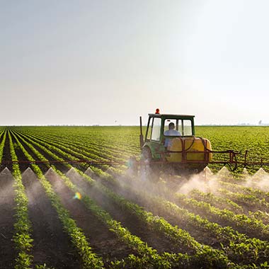 Un trattore agricolo fertilizza i raccolti introducendo azoto sotto forma di ammoniaca.